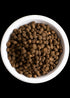 Open Farm Farmer's Table Pork & Ancient Grains Dry Dog Food 22lb - Poudre Pet and Feed Supply